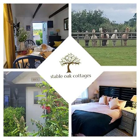 Birch Cottage With Private Wood Fire Hot Tub Harrietsham ภายนอก รูปภาพ