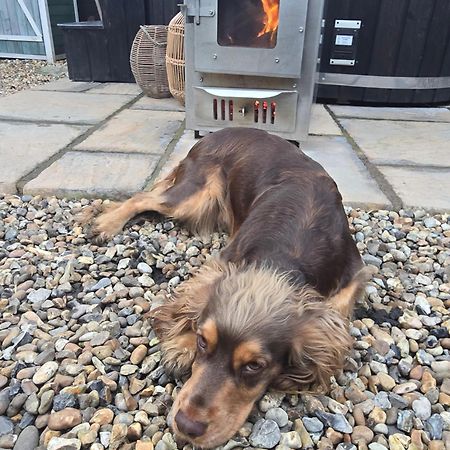 Birch Cottage With Private Wood Fire Hot Tub Harrietsham ภายนอก รูปภาพ